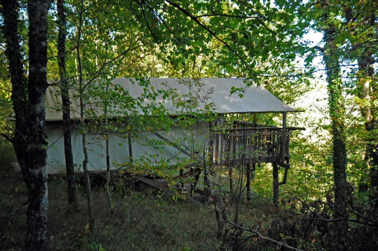 Hôtel Camping Glamping Terre Rouge à Villecomtal Extérieur photo